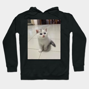 The little cute white cats Hoodie